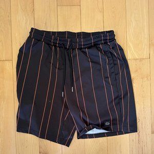 Pacsun Brand Shorts